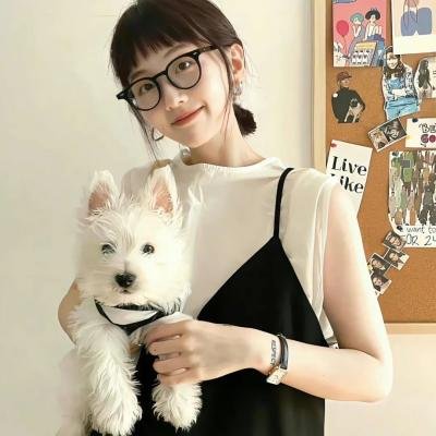 猫和老鼠：雪人国大冒险